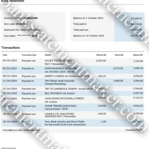 Bank of Ireland statement template – downloadable billing PDF for simulations, address validation, or KYC scenarios