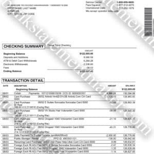 Custom Chase bank statement